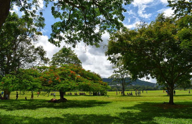 Tour por Puerto España y la playa Maracas - Foto 5