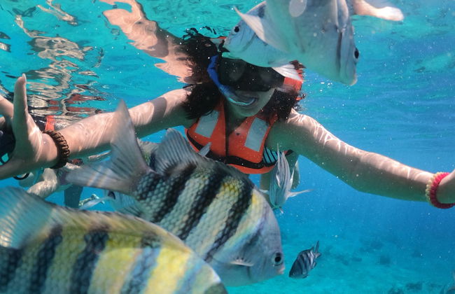 Paseo en barco transparente por Cozumel + Snorkel - Foto 4