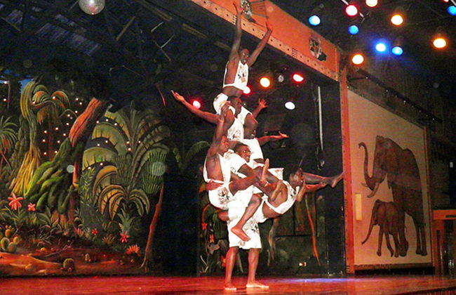 Safari Cat Show with Dinner - Photo 4
