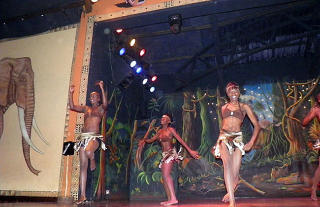 Safari Cat Show with Dinner - Photo 3
