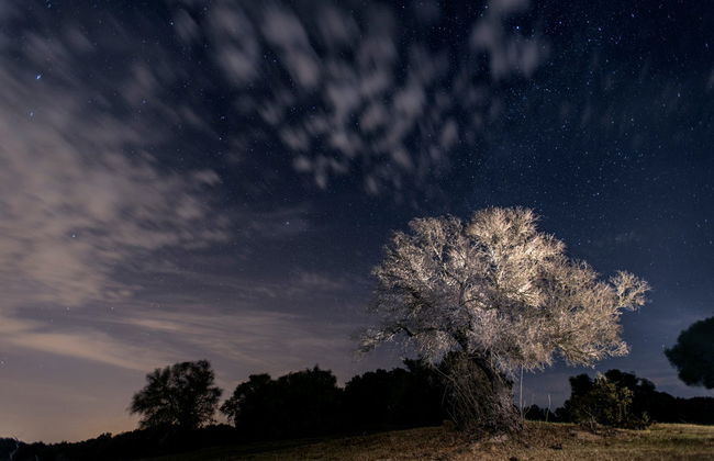 Evening Horse Ride in Sierra de Grazalema - Foto 6