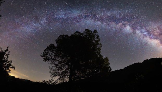 Evening Horse Ride in Sierra de Grazalema - Foto 3