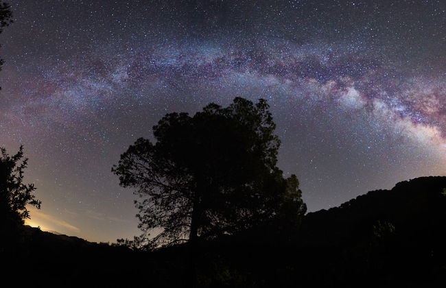 Evening Horse Ride in Sierra de Grazalema - Foto 3