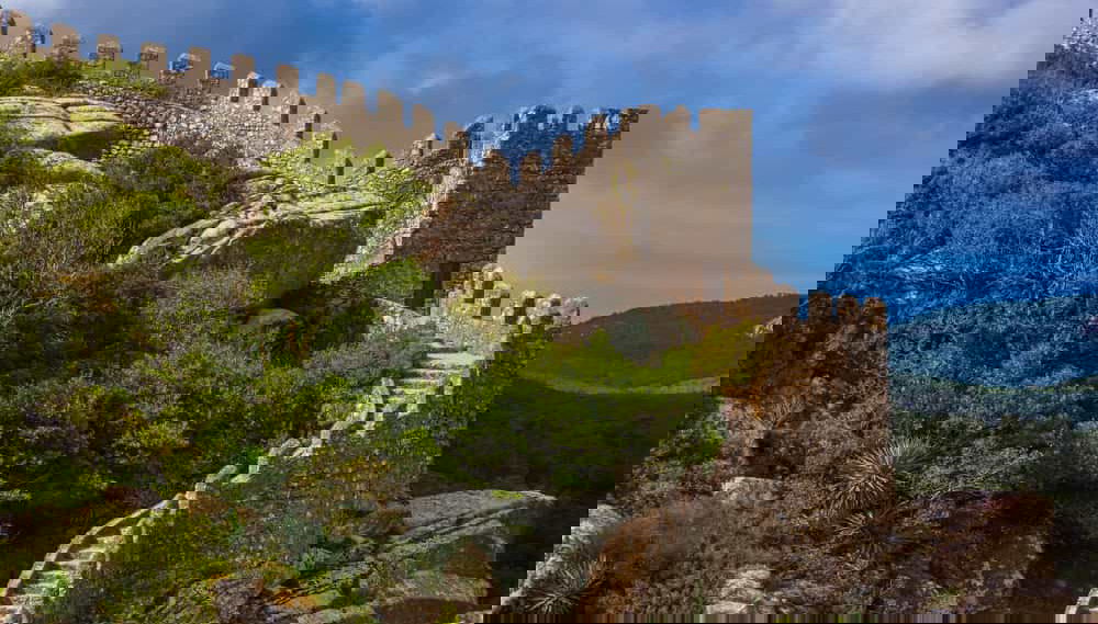 Sintra Hop-On Hop-Off Bus Tour - Foto 1