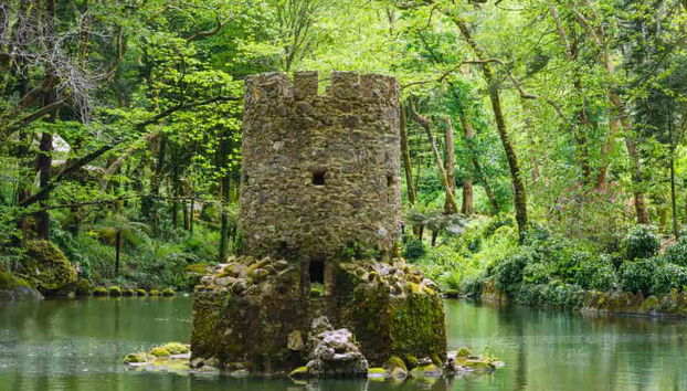 Sintra Hop-On Hop-Off Bus Tour - Foto 3