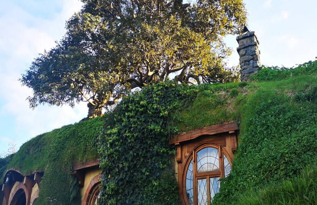 Explora el set de rodaje de Hobbiton con almuerzo desde Rotorua a Auckland - Tour de día completo - Foto 3