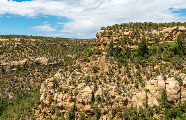 Mesa Verde National Park Day Trip - Photo 7