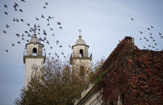 Tour privado por Colonia del Sacramento - Foto 1