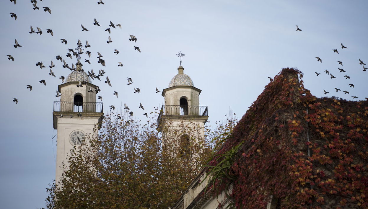 Tour privado por Colonia del Sacramento - Foto 1