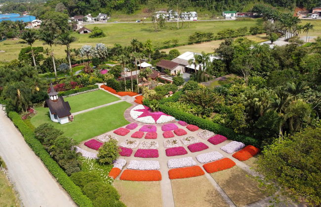 Tour por Joinville - Foto 3