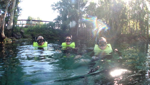Nado con manatíes en Crystal River - Foto 5
