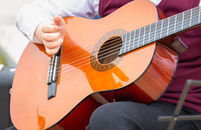 Tour folclórico por Salta - Foto 7