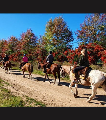 Foto de Paseo a caballo por Carlos Keen