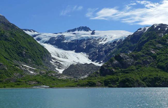 Paseo en moto de nieve por el Parque Nacional de los Fiordos de Kenai - Foto 7