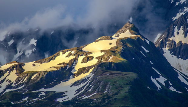 Kenai Fjords National Park Snowmobile Tour - Foto 3