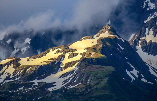 Paseo en moto de nieve por el Parque Nacional de los Fiordos de Kenai - Foto 3