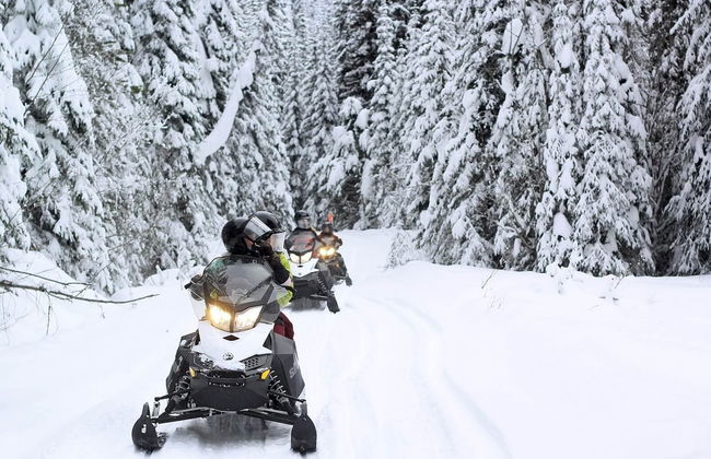 Kenai Fjords National Park Snowmobile Tour - Photo 3