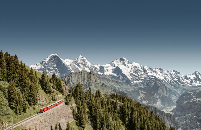 Historic Train to Schynige Platte - Photo 8