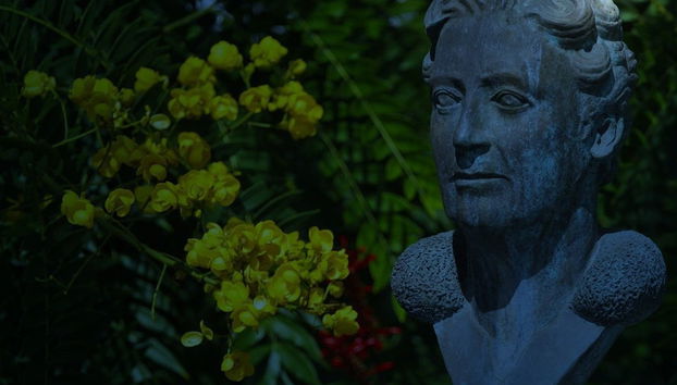 Free tour de misterios y leyendas de Puerto de la Cruz - Foto 4