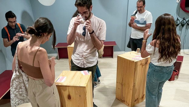 Visita a las bodegas y viñedos de la Cooperativa Viver - Foto 4