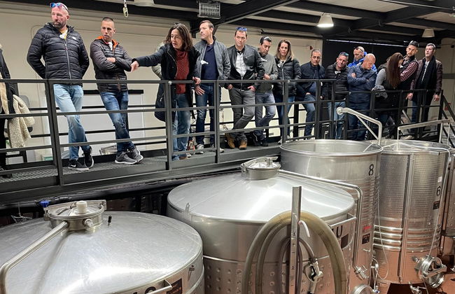 Visita a las bodegas y viñedos de la Cooperativa Viver - Foto 6