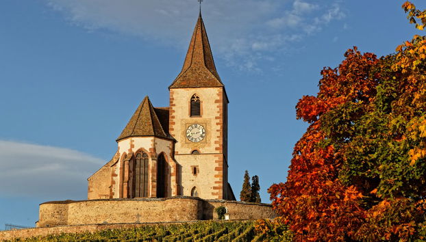 Hunawihr & Riquewihr Day Trip + Wine Tasting - Photo 5