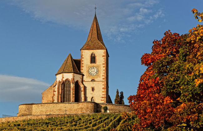 Excursão a Hunawihr e Riquewihr + Degustação de vinhos - Foto 5
