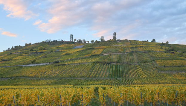 Hunawihr & Riquewihr Day Trip + Wine Tasting - Photo 3