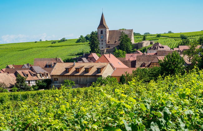 Excursão a Hunawihr e Riquewihr + Degustação de vinhos - Foto 1