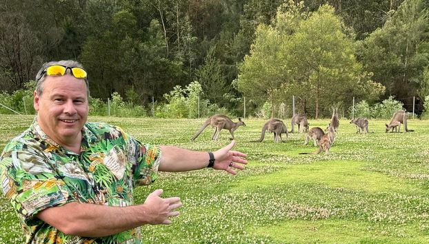Observation de kangourous et de wombats dans les Southern Highlands + Fitzroy Falls - Photo 5