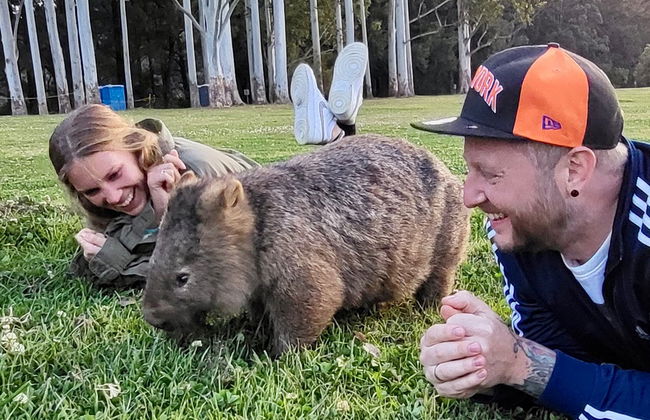 Avistamiento de canguros y wombats en las Southern Highlands + Fitzroy Falls - Foto 2