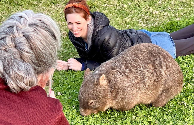 Avistamiento de canguros y wombats en las Southern Highlands + Fitzroy Falls - Foto 5