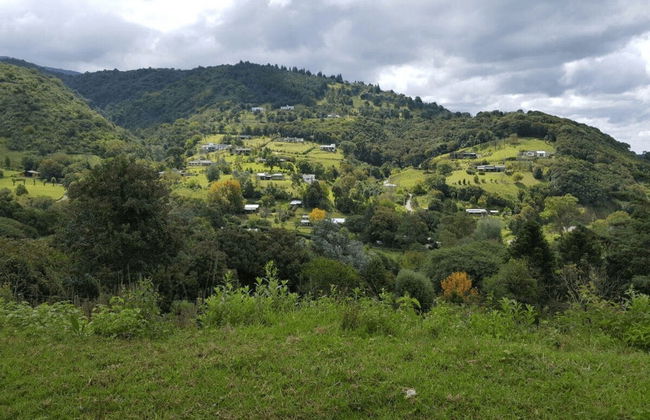 Excursión a las Yungas de Tucumán - Foto 4