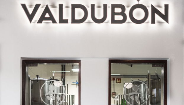Bodegas Valdubón, à Ribera del Duero