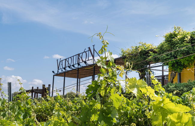 Valdubón Winery Tour - Foto 8