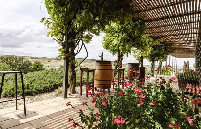 Valdubón Winery Tour - Foto 6