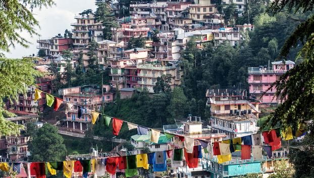 Visita guiada por McLeod Ganj - Foto 4