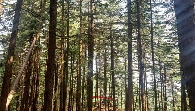Visita guiada por McLeod Ganj - Foto 2