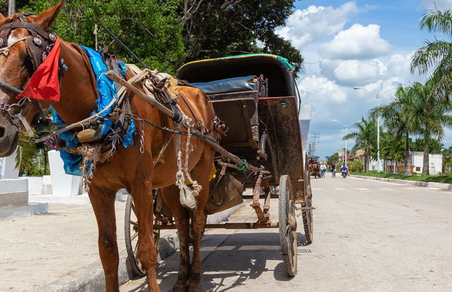 Tour del tabaco, el ron y el azúcar - Foto 6