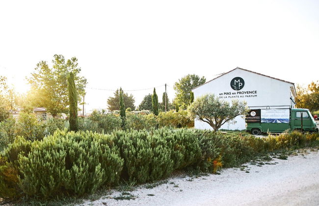 Provençal Lavender Farm Tour - Photo 4