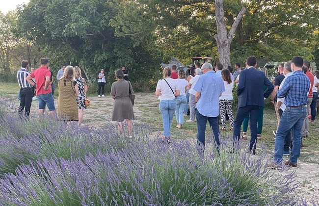Provençal Lavender Farm Tour - Photo 6