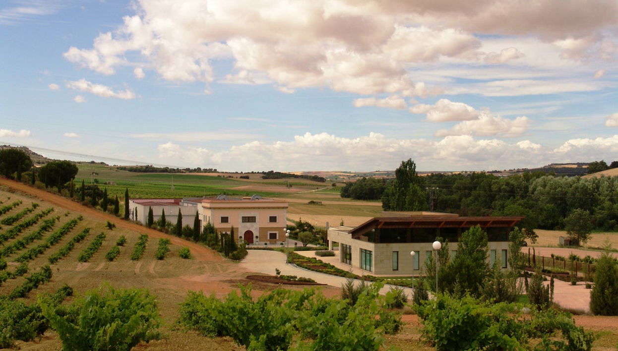 Piedra Wineries Tour + Tasting - Photo 1