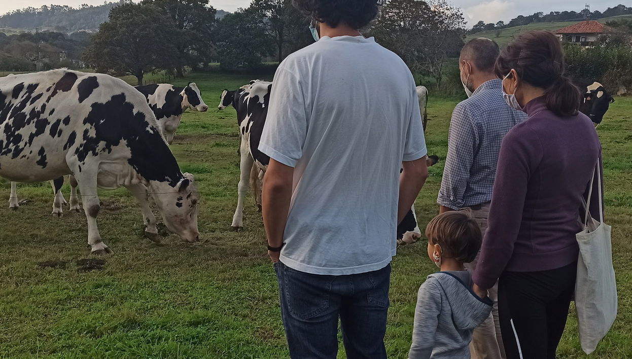 Visita a una granja de vacas lecheras
