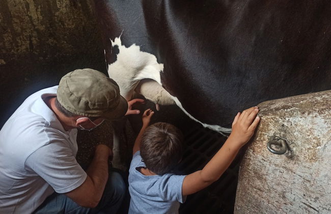 Visita a una fattoria di vacche da latte - Foto 4