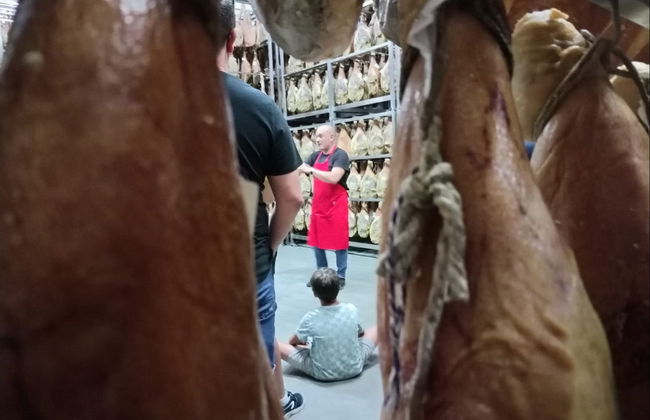 Visita a un secadero de jamones con degustación - Foto 4