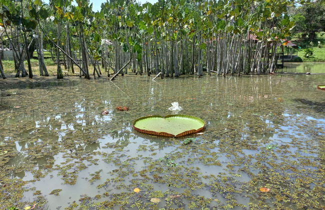 Excursión a la Isla de los Monos - Foto 3