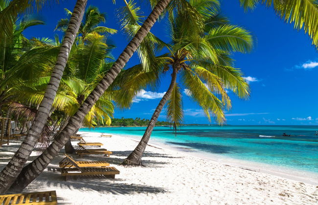 Private Saona Island Speedboat Day Trip - Photo 1