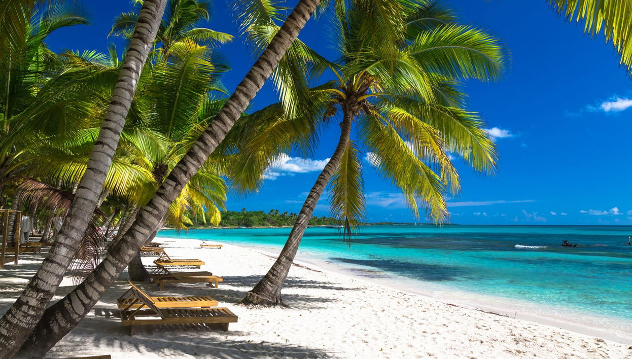 Private Saona Island Speedboat Day Trip - Photo 1