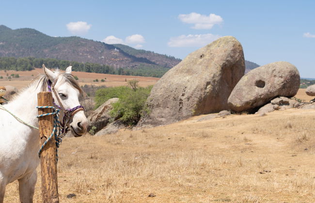 Sierra de Santa Rosa Horse Riding Tour - Foto 8