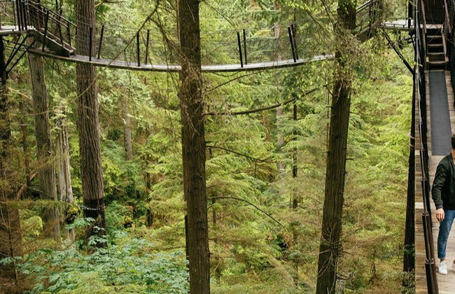 Entrada a Capilano Suspension Bridge Park - Foto 9